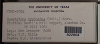 Image Associated With the Occurence